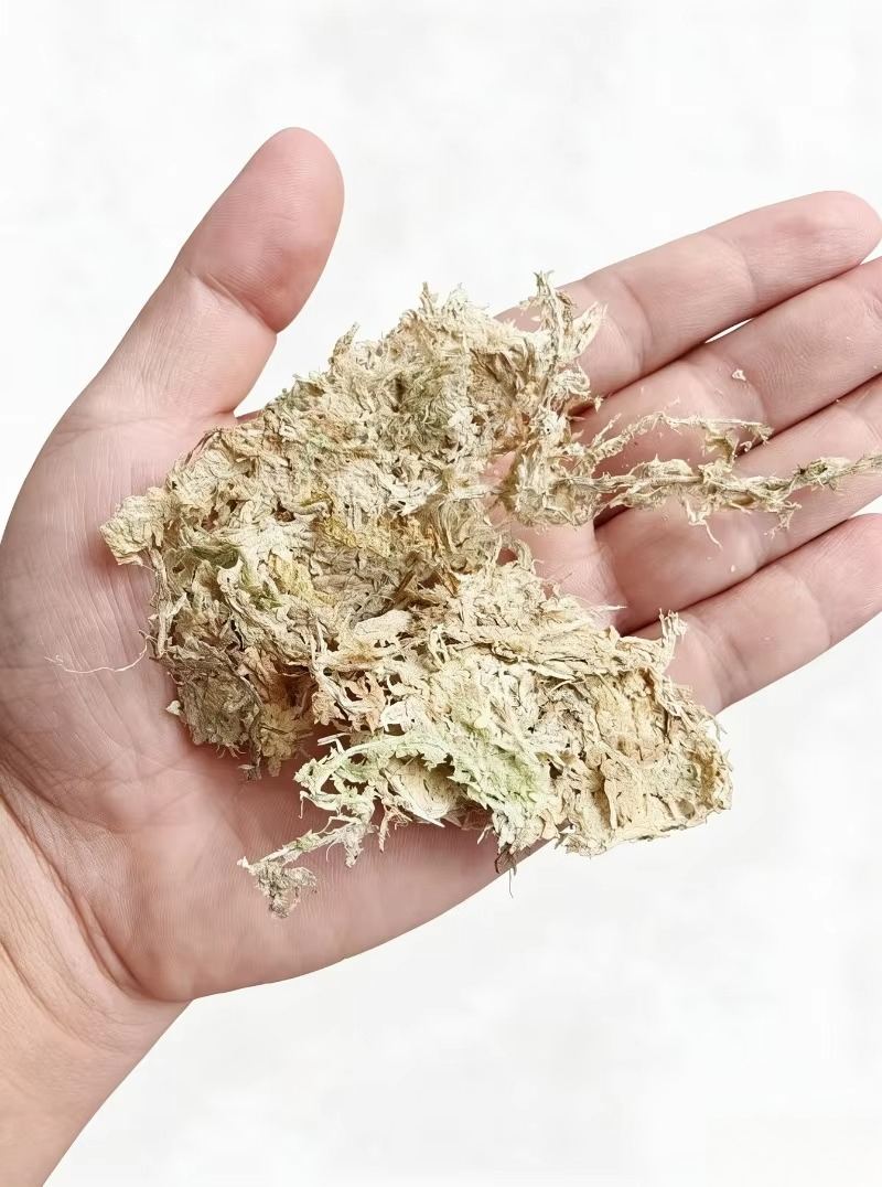 Sphagnum Moss Dry - Премиальный сфагнум для орхидей, прессованный блок,