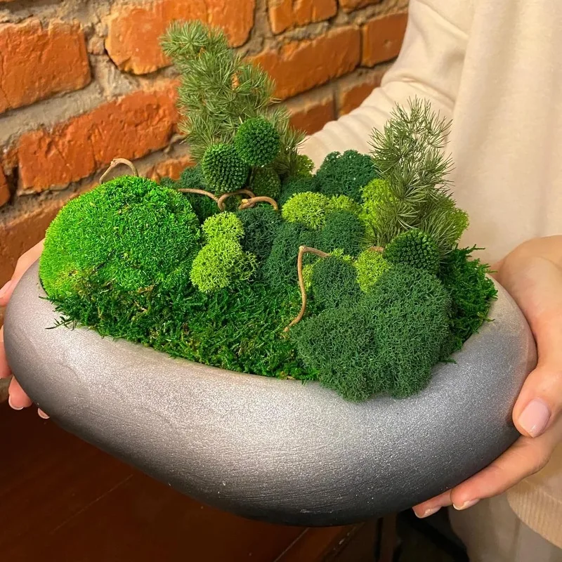 Искусственный мох «Вечная жизн – обзор и цена Sphagnum Moss Dry