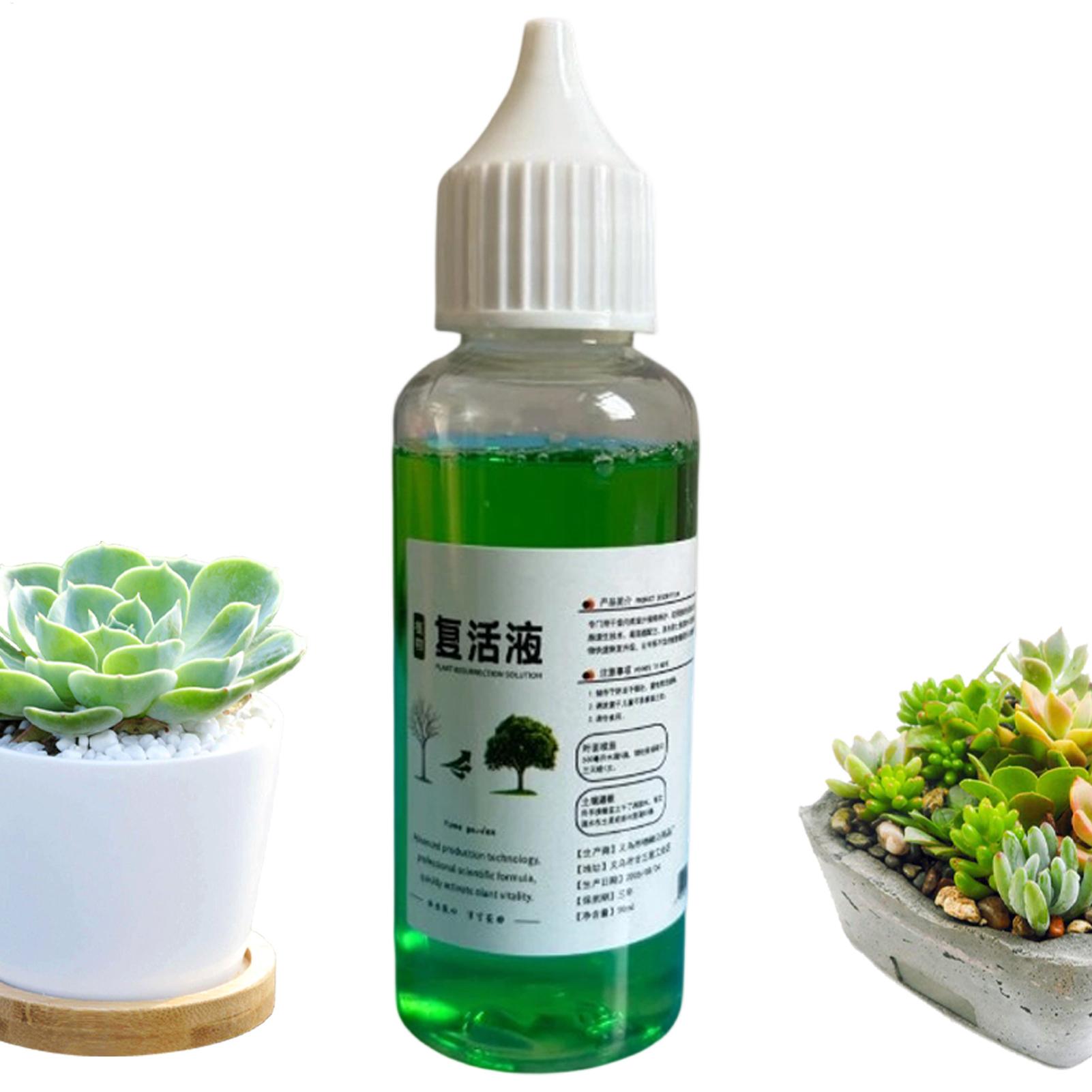 Стимулятор корневого роста для – обзор и цена Root Stimulator Liquid