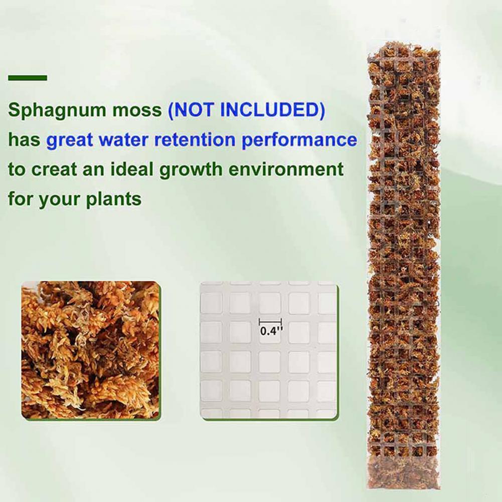 Мох для вьющихся растений, опо – обзор и цена Sphagnum Moss Dry
